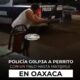 Policía g0lp3a a perrito con un palo hasta m@tarl0 en Oaxaca; fue destituido