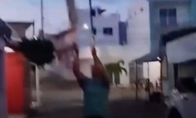 D3NUNCI@N MALTRATO ANIMAL EN #ALVARADO;  JOVEN LANZA AL AIRE A GATA RECIÉN ESTERILIZADA.