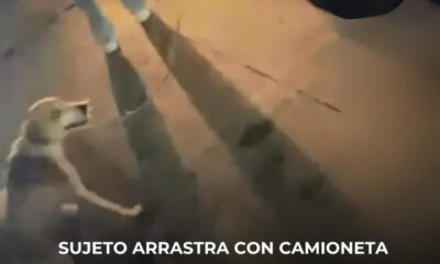 Sujeto arrastra con camioneta a perrito en Boca del Río, Veracruz