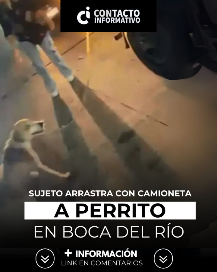 Sujeto arrastra con camioneta a perrito en Boca del Río, Veracruz