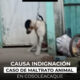 Indign@ción en Cosoleacaque por caso extremo de m@ltrat0 animal