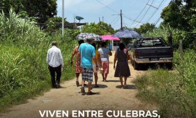Viven entre culebras, zancudos y abandono: denuncian el riesgo sanitario y de seguridad en colonia Gravera