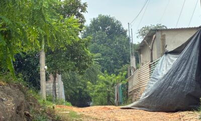 ( +Video) Vecinos piden proteger área verde ante riesgo de invasión en Las Fuentes