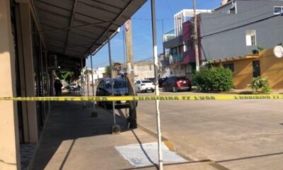 Abandonan cab3za de cerdo con mensaje de am3naz4s en colonia Puerto México