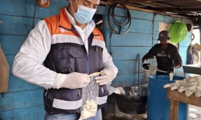 *Analizan queso, carne de res, cerdo y pollo de establecimientos de Tatahuicapan ante brote de diarrea y vómito*