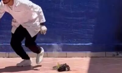 Brut4l caso de maltr4t0 animal en Guanajuato; investigan a estudiantes que expl0t4ron a un gato con pirotecnia