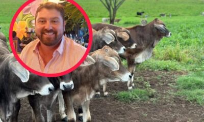 #Isla con tres casos de gusano barrenador; ya son atendidos por SENASICA, afirma presidente de la AGL