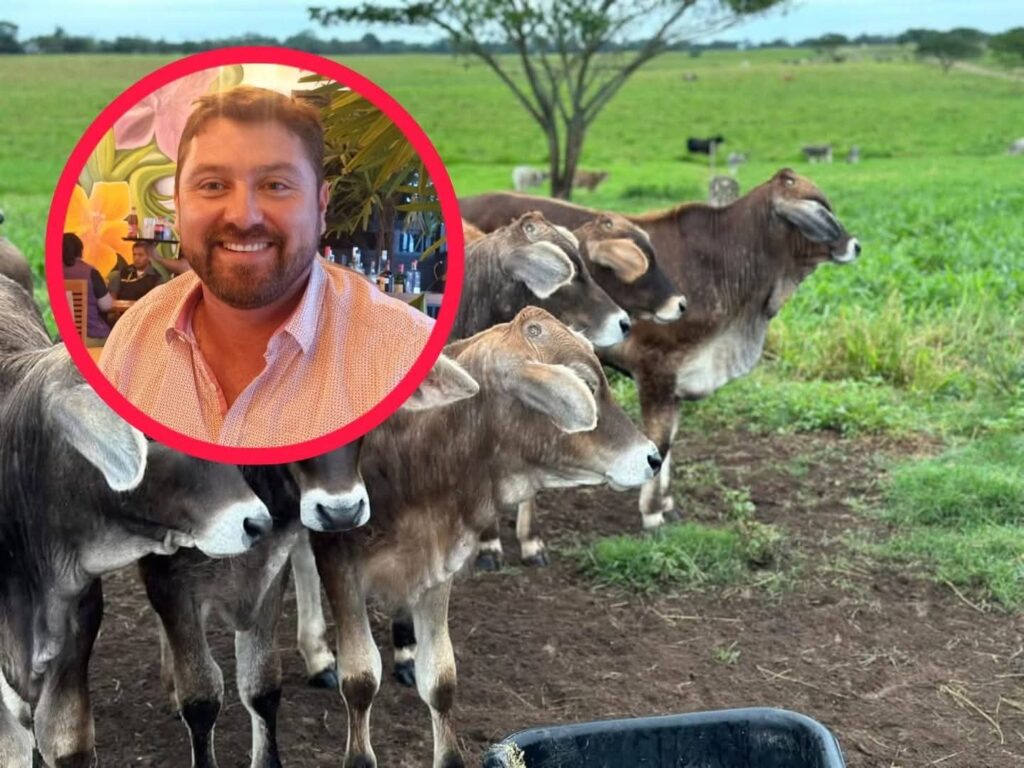 #Isla con tres casos de gusano barrenador; ya son atendidos por SENASICA, afirma presidente de la AGL