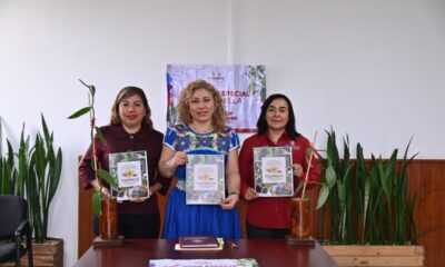 *Avala Comisión Especial plan de trabajo para el impulso de la vainilla veracruzana*