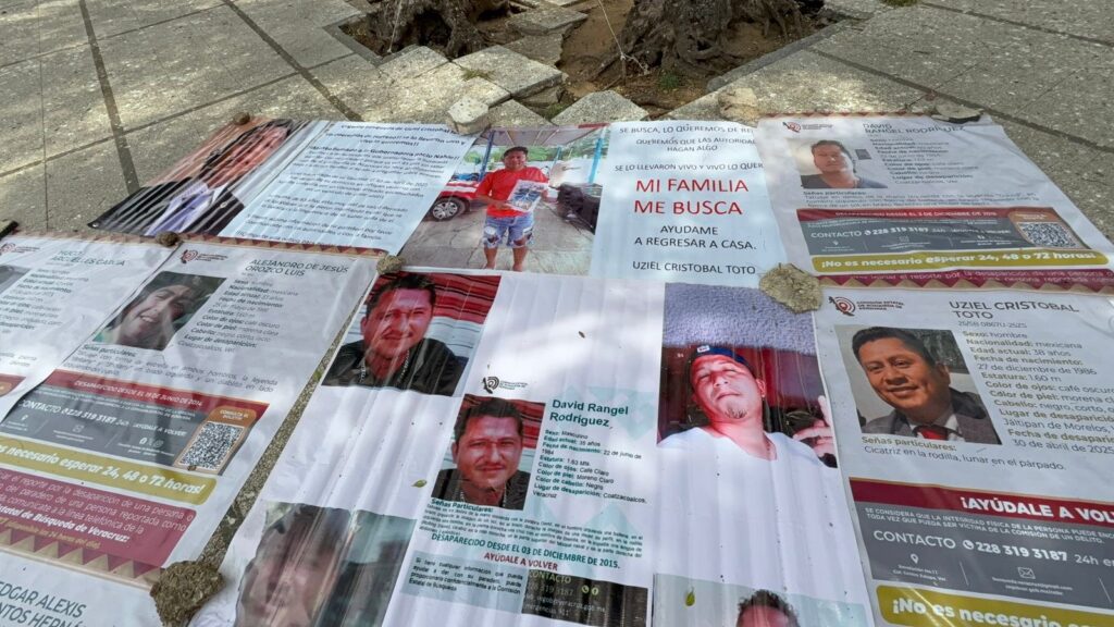 *Madre de Uziel Cristobal Toto activista político de Jáltipan, aclara que nunca ha señalado a la alcaldesa de Sayula de Alemán de ser la responsable de la desaparición de su hijo*