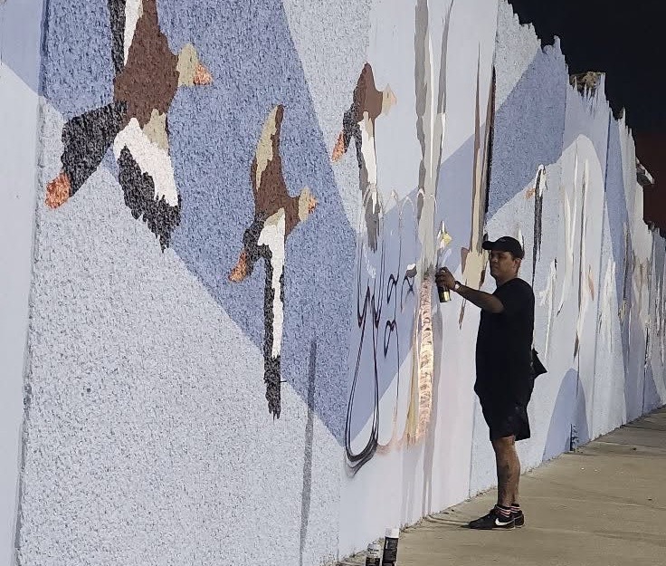 *Dañan mural de aves endémicas del malecón de Coatzacoalcos, la iniciativa busca mejorar la imagen de la ciudad, pero un sujeto decidió pintar un grafiti*
