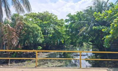 *A pesar de que la gente tira refris, colchones y basura, se han limpiado 80 por ciento de los 47 kilómetros de canales a cielo abierto de Coatzacoalcos*