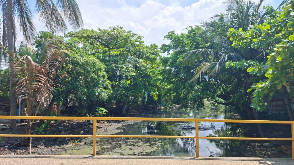 *A pesar de que la gente tira refris, colchones y basura, se han limpiado 80 por ciento de los 47 kilómetros de canales a cielo abierto de Coatzacoalcos*