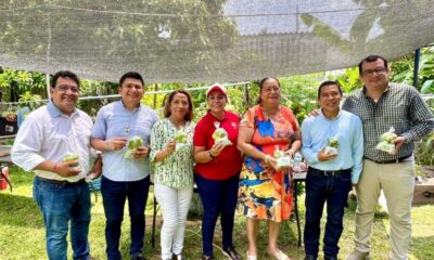 *En Villa Allende 25 familias cosechan hortalizas, frutas y verduras, las personas se capacitaron a través de huertos*