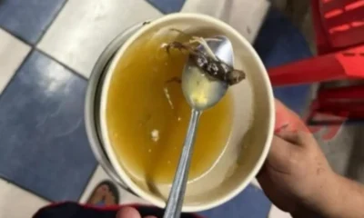 Hospit4liz4n a m3nor tras comer caldo con ratón en restaurante de Yucatán