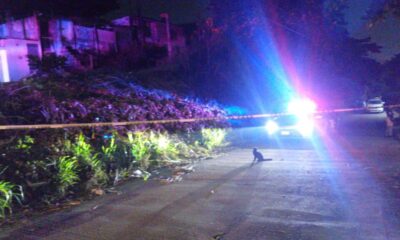 *Localizan c4dáv3r en avanzado estado de d3scomp0sición en la colonia Manuel Ávila Camacho de Coatzacoalcos*