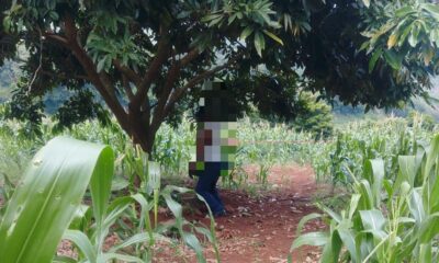 Tr4ged!a en San Pedro Soteapan: Hallan a hombre d3sap4rec!do