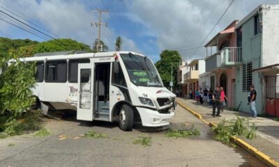 *Mina – Canticas pierde el control y se estrella contra un árbol en la calle Malpica de Coatzacoalcos, el choque dejó siete lesionados, entre ellos el chofer*