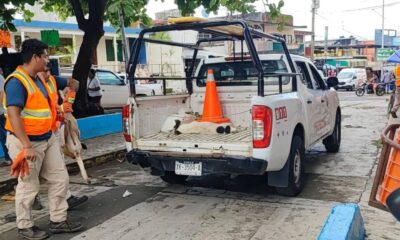 Interpondrán formal denuncia por envenamiento de perros en Catemaco; darán recompensa para quien tenga información y dar con el o los responsables