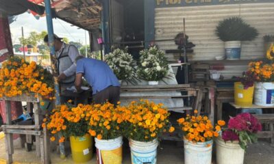 🌼 Vendedores del panteón Miguel Hidalgo acusan cobros sin sustento del Ayuntamiento de Minatitlán