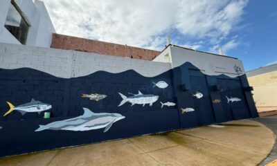 *El malecón de Coatzacoalcos estrenará nuevo mural realizado por Coatza Colectivo*