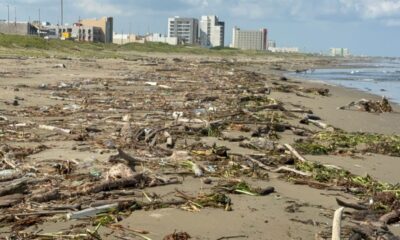 *Playa de Coatzacoalcos con toneladas de basura, palotada y lirio acuático, activistas lamenta la situación*