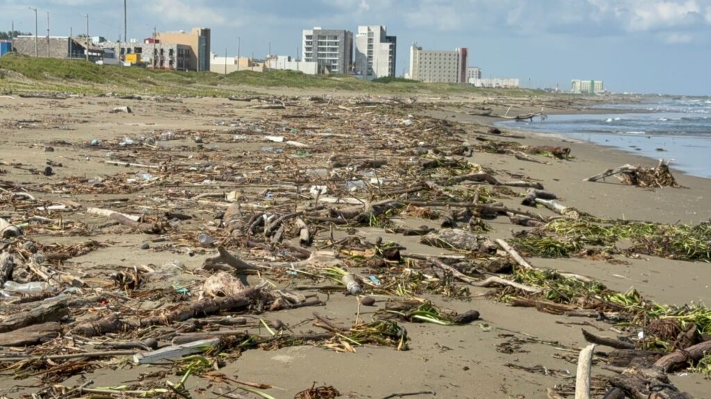 *Playa de Coatzacoalcos con toneladas de basura, palotada y lirio acuático, activistas lamenta la situación*