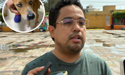 (+VIDEO) Exigen castigo ejemplar por caso de t0rt&r@ an!m@l en Minatitlán: “Muñeca sufrió siete años”