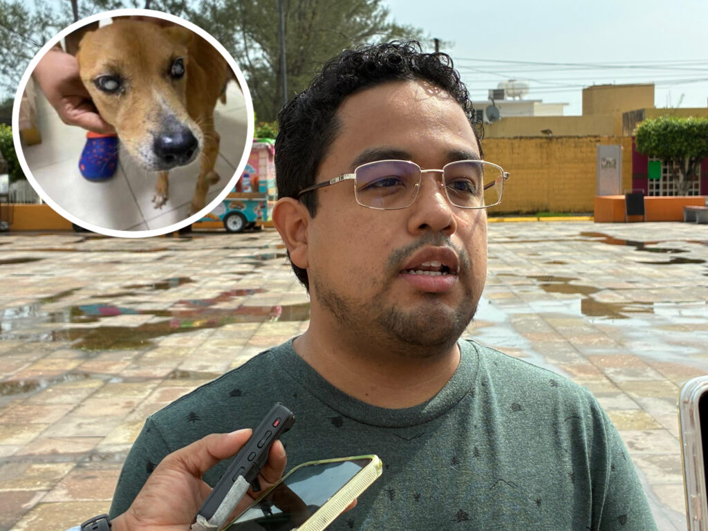 (+VIDEO) Exigen castigo ejemplar por caso de t0rt&r@ an!m@l en Minatitlán: “Muñeca sufrió siete años”