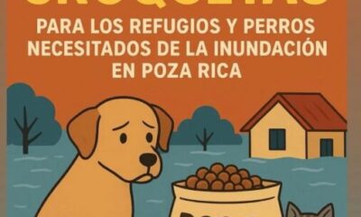 Minatitlán se une al rescate animal: “Salvando Huellitas” abre centro de acopio para mascotas de Poza Rica