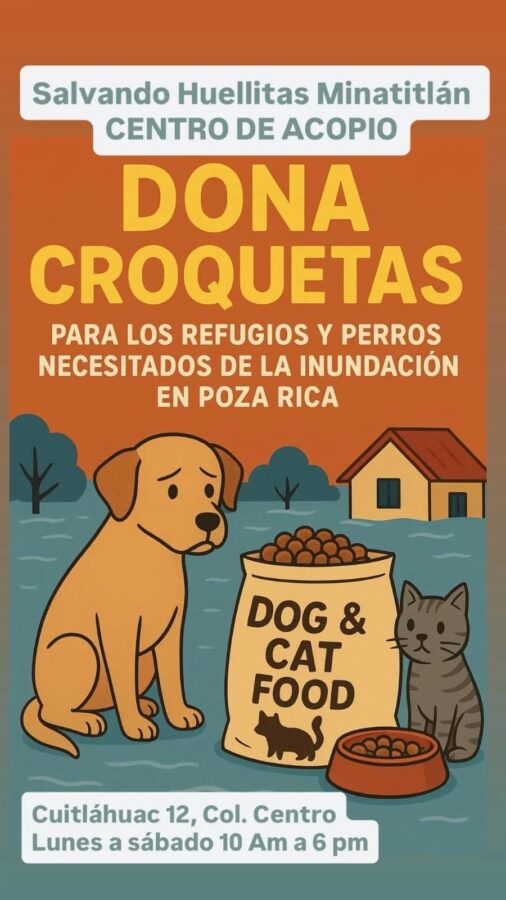 Minatitlán se une al rescate animal: “Salvando Huellitas” abre centro de acopio para mascotas de Poza Rica