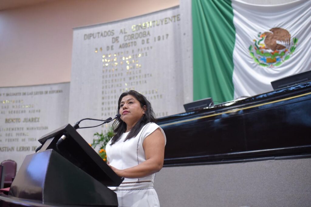*Ante desastres naturales, unidad, empatía y cooperación, llama diputada*