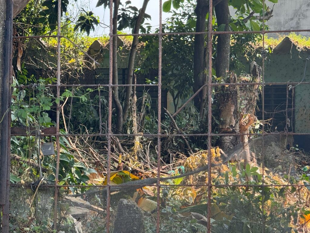 Vecinos de Guayacanal exigen fumigación urgente ante proliferación de moscos del dengue