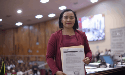 Tendría Veracruz Ley para la producción y comercialización del Aguacate