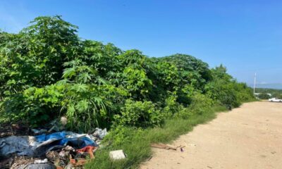 Terreno baldío junto a la base policiaca se convierte en basurero en la Miguel Hidalgo