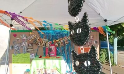 *Llaman protectoras de Coatzacoalcos a no abandonar a sus perros y gatos cuando están viejitos, por tercer año consecutivo instalaron su altar de muertos*