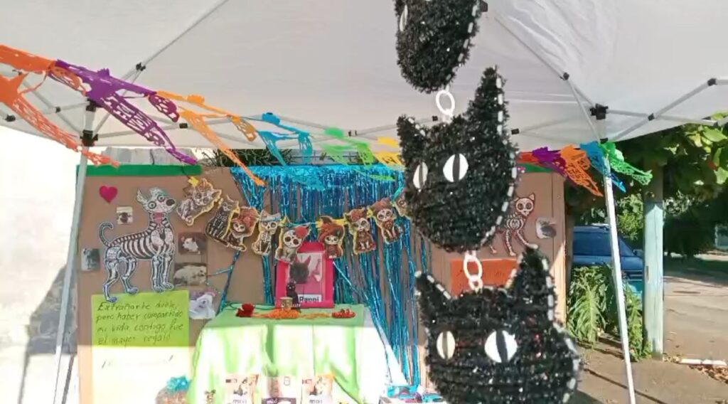 *Llaman protectoras de Coatzacoalcos a no abandonar a sus perros y gatos cuando están viejitos, por tercer año consecutivo instalaron su altar de muertos*