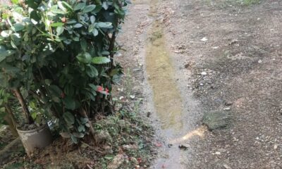 💧 Riesgo en la Guayacanal: Fuga de Agua Amenaza Viviendas y Desata Temor a un Socavón