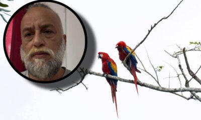 Buscan fortalecer el aviturismo en #LosTuxtlas y promover el cuidado de especies silvestres