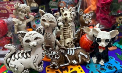 Locatarios del mercado Coatzacoalcos, esperan un repunte en sus ventas con artículos alusivos al día de San Judas Tadeo, el Halloween y Día de muertos.