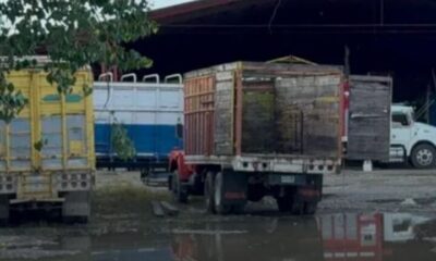 Asesinan a balazos a empresario de cítricos en Álamo Temapache, Veracruz