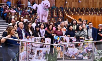 *Congreso eleva a rango constitucional la protección a los animales*