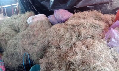 En el mercado Popular se anticipa el ambiente navideño con la llegada del paxtle