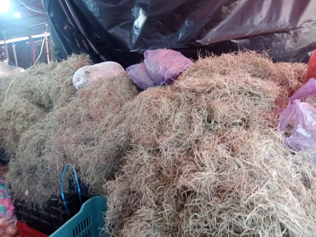 En el mercado Popular se anticipa el ambiente navideño con la llegada del paxtle