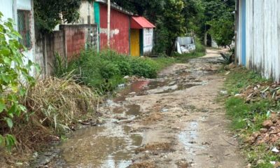 🚨 ¡SOS! Vecinos de la colonia Rosalinda claman por auxilio ante inundaciones y deterioro urbano