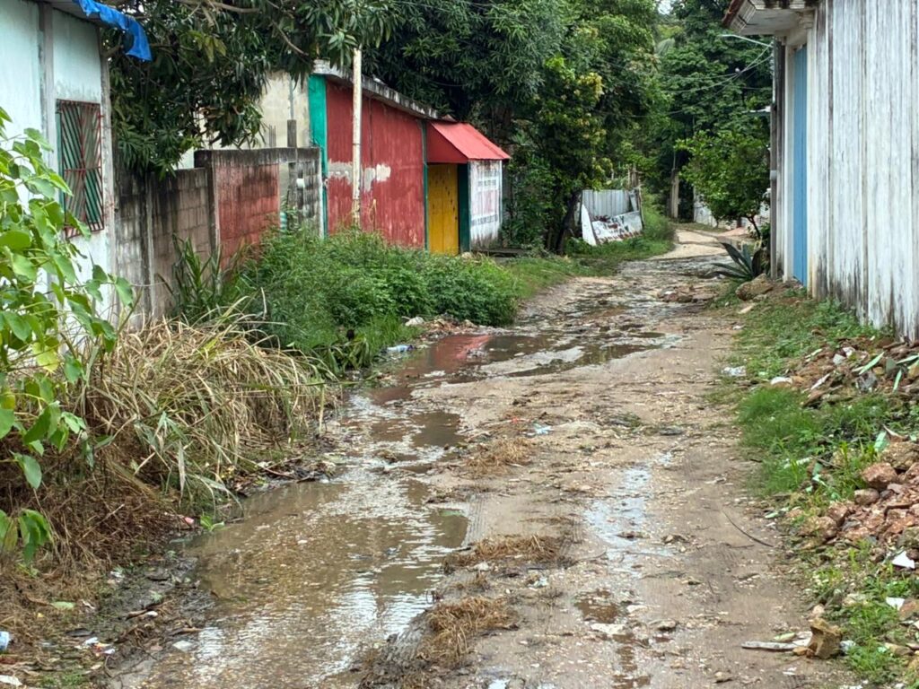 🚨 ¡SOS! Vecinos de la colonia Rosalinda claman por auxilio ante inundaciones y deterioro urbano