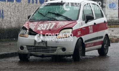 Árbol cae sobre taxi en la colonia Nueva Mina, tras intensos vientos del Frente Frío 13