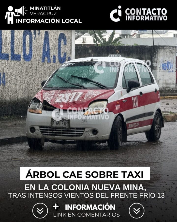 Árbol cae sobre taxi en la colonia Nueva Mina, tras intensos vientos del Frente Frío 13