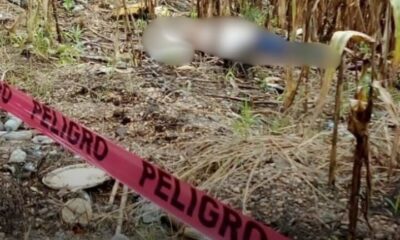 🚔 Autoridades investigan hallazgo a la altura de la desviación a Oteapan; esto es lo que sabemos