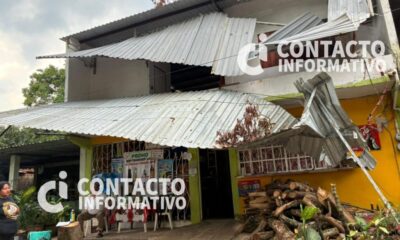 (+VIDEO) Familia exige respuesta del Ayuntamiento tras caída de árbol que devastó su vivienda en El Mangal; no hay ni un peso en caja, según el gobierno.